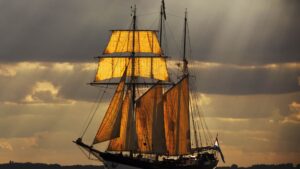 Darwin ship sailing at sea